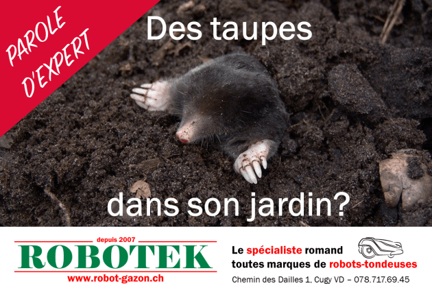 Des Taupes Dans Son Jardin Robotek Sarl