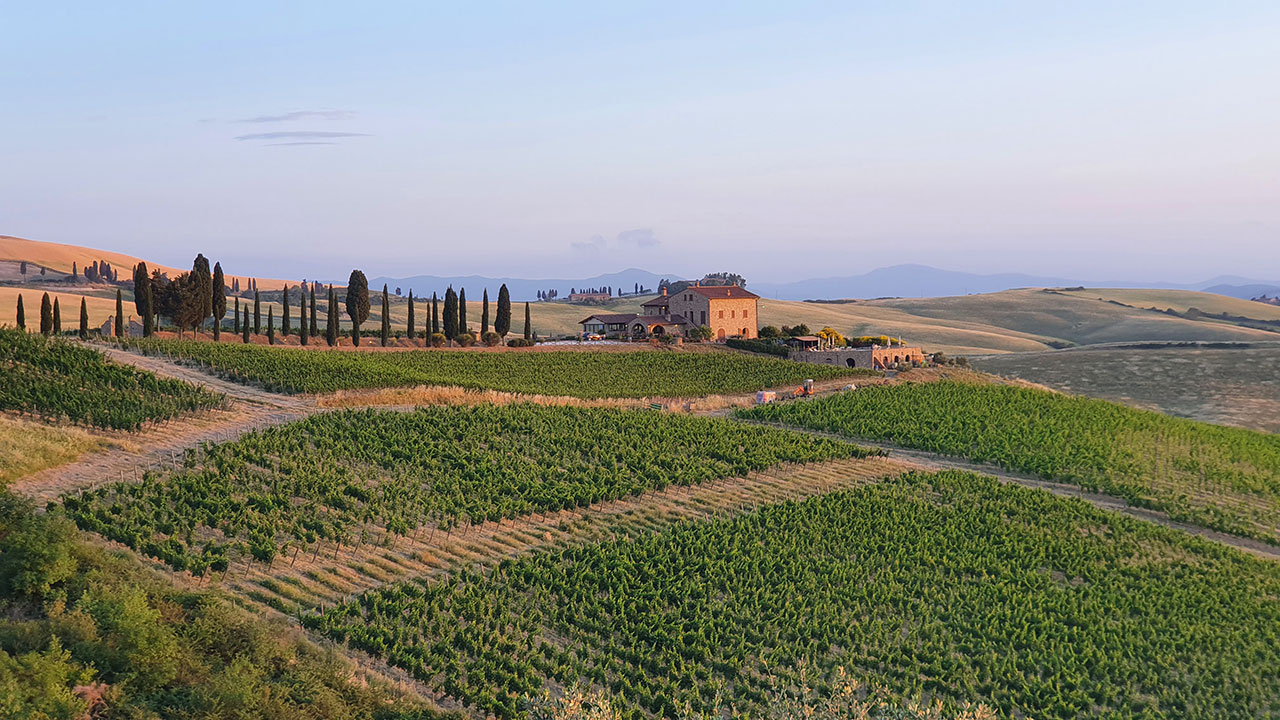 Marcampo A Volterra La Sfida Della Famiglia Del Duca Rossorubino Tv