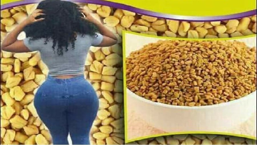 Comment Utiliser Le Fenugrec Pour Grossir Les Fesses