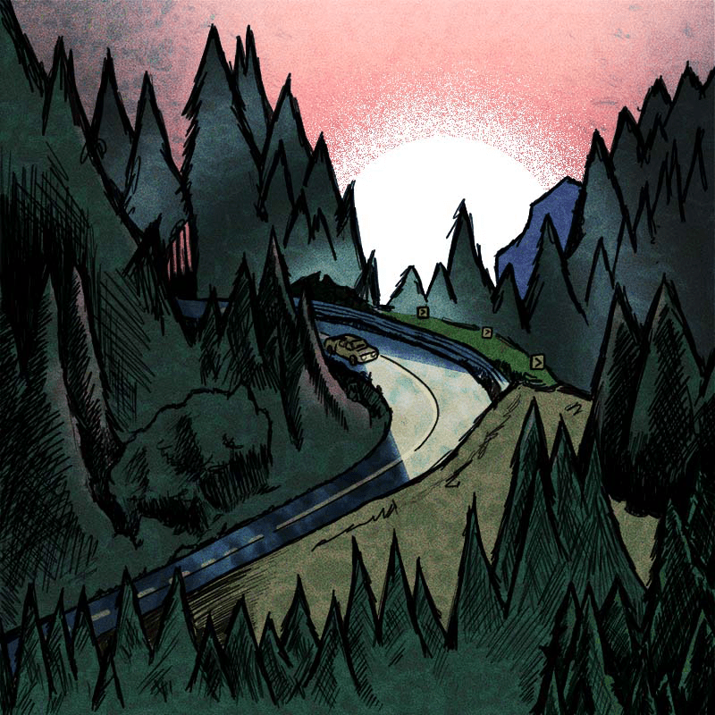 Through the Woods to See the Blackness Between the Stars