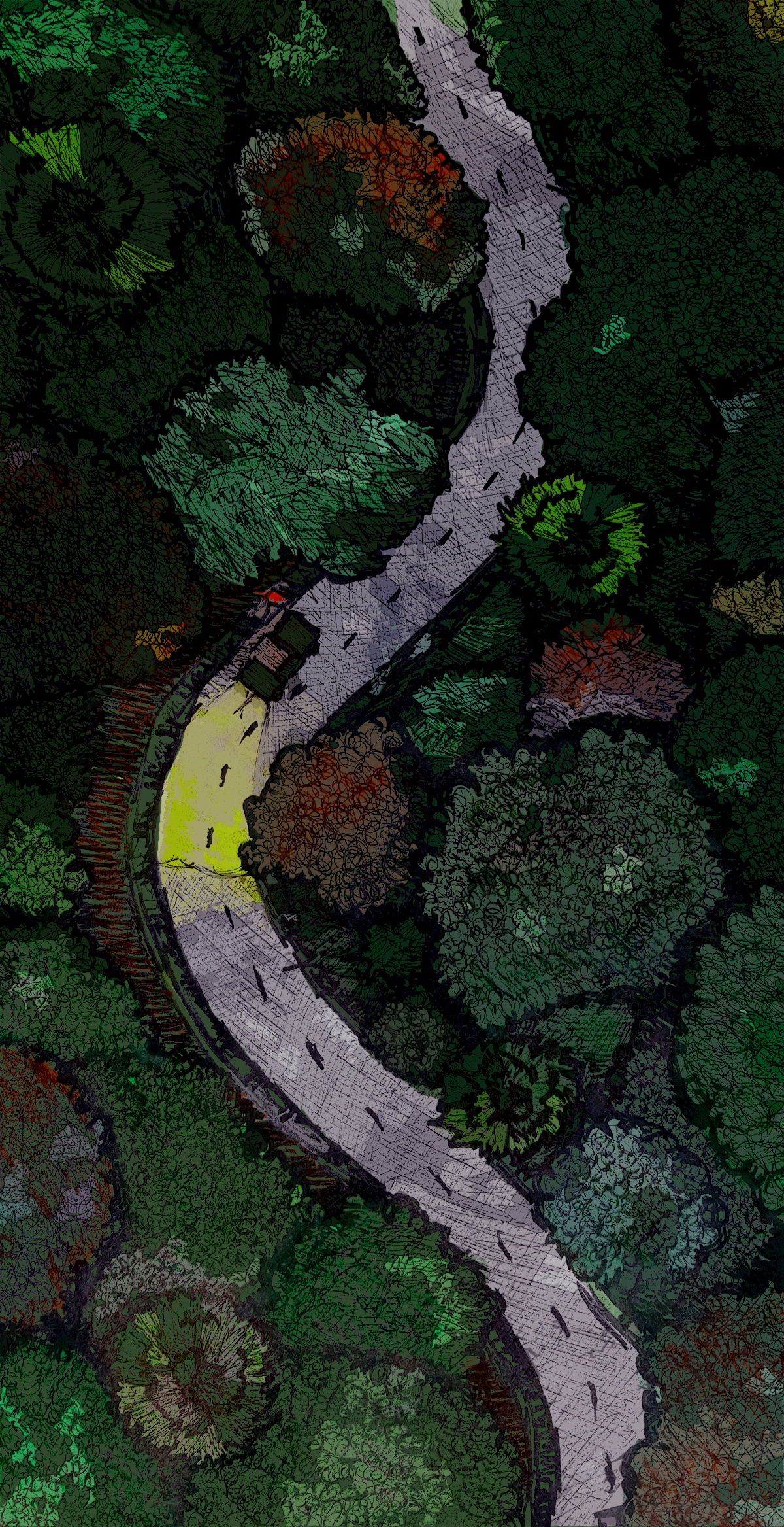 Through the Woods to See the Blackness Between the Stars