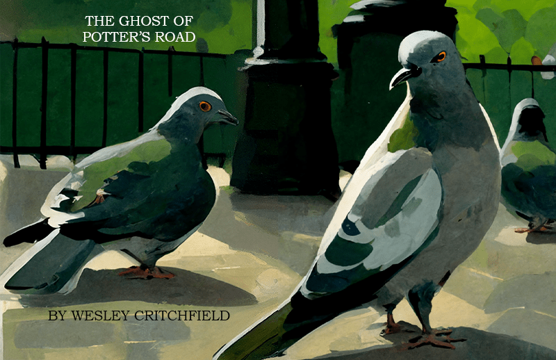 The Ghost of Potter’s Road By Wesley Critchfield