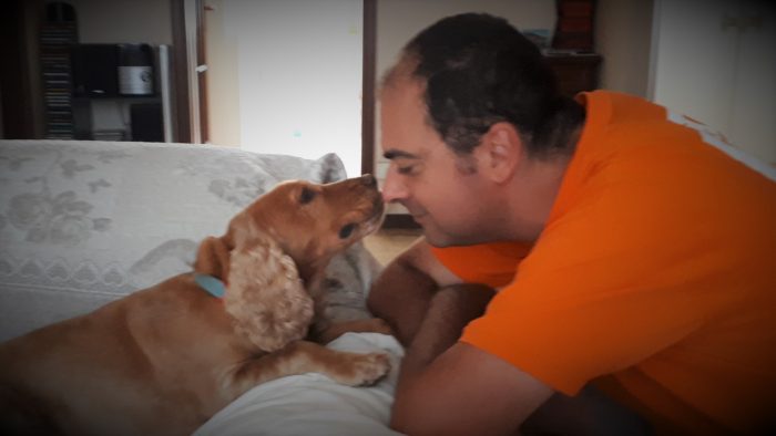 Cosa Fare Se Il Cane Vomita Schiuma Gialla Sheila The Dog