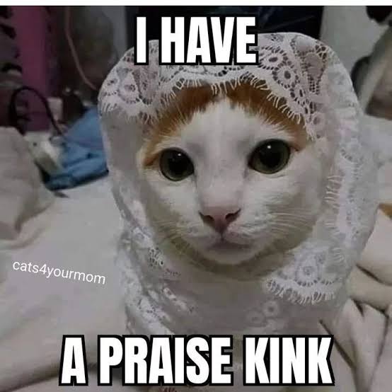 When you finally admit you have a praise kink