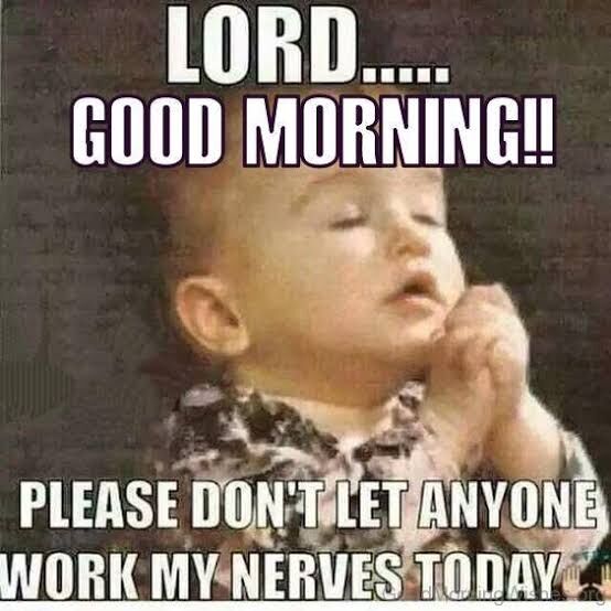 don't let anyone work my nerves today meme