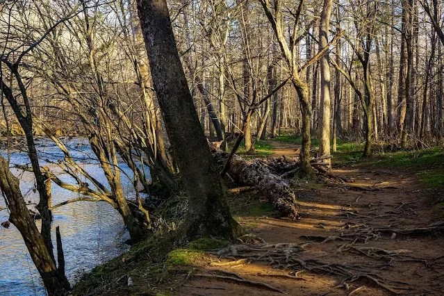 The ULTIMATE Guide to the Eno River State Park, NC