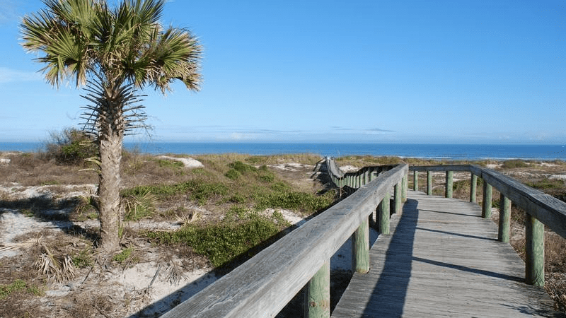 6 Great Dog-Friendly Beaches in Jacksonville, Florida