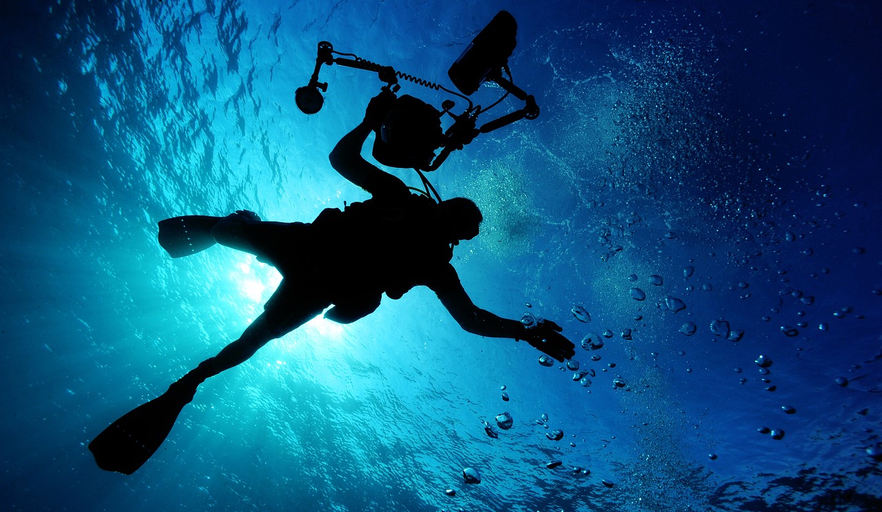 scuba diving, swimming, sea-79606.jpg