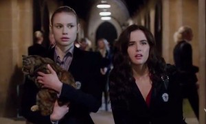 Vampire Academy 2