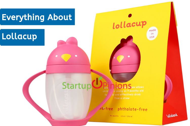 Know Everything About Lollacup 2023 Startup Opinions
