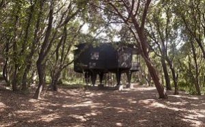 C Era Una Volta Una Casa Nel Bosco Di Baratti Stile Libero
