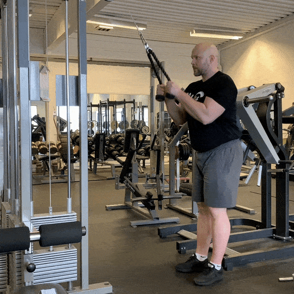 Tricep Pushdown With Rope Muscles Worked Technique Strengthlog
