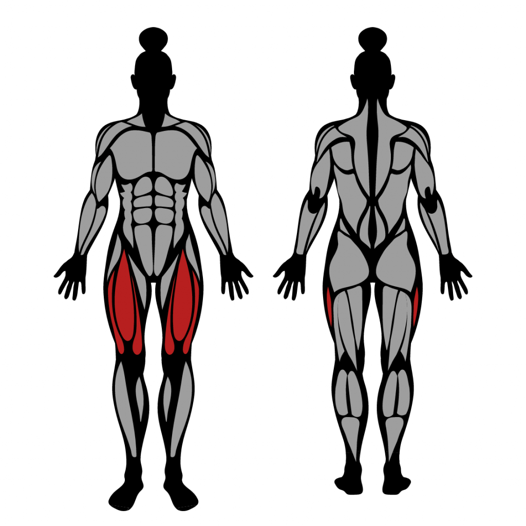 Leg Extension Muscles Worked Technique Strengthlog