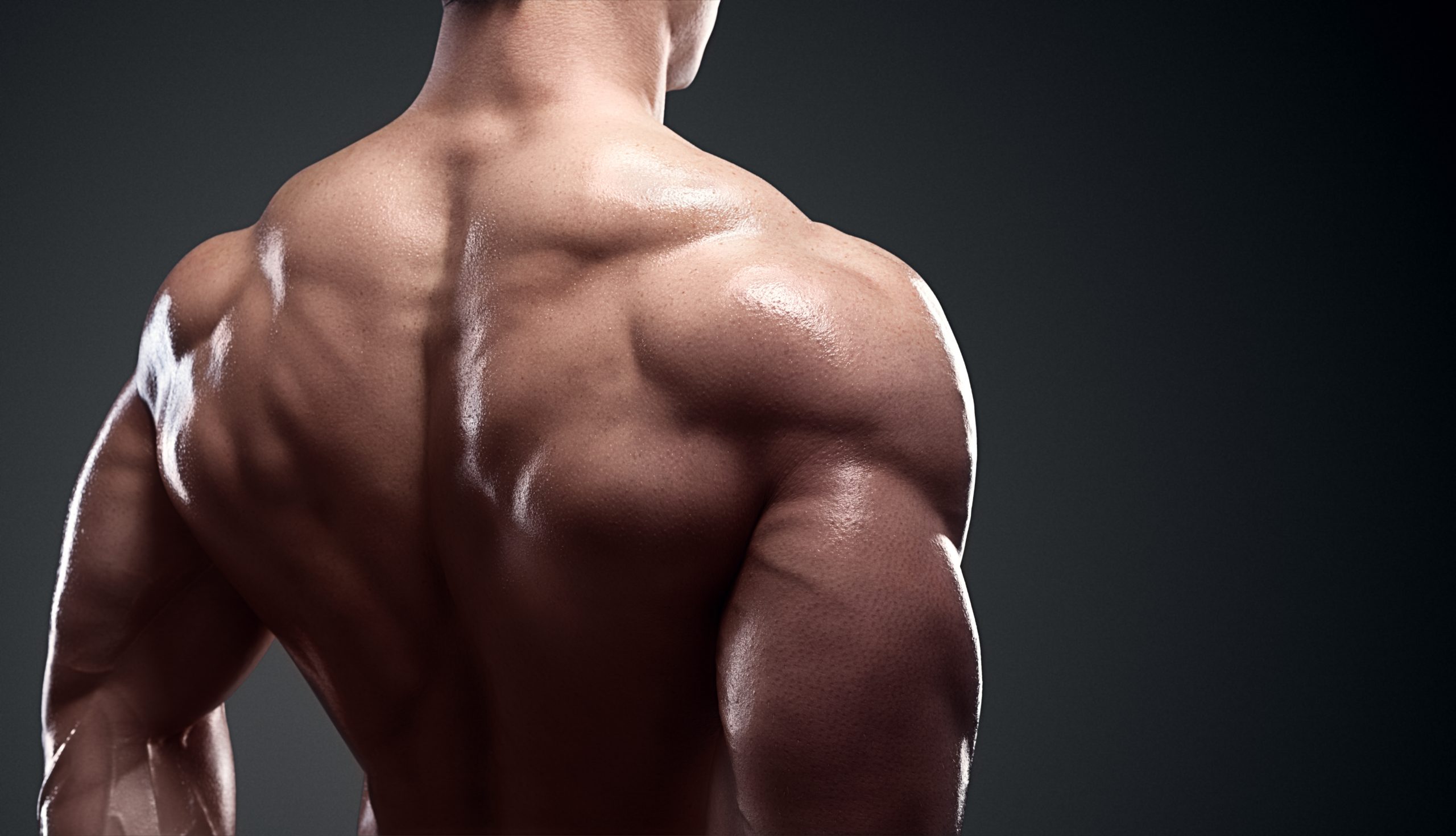 How To Train Your Rear Delts Exercises Workout Strengthlog