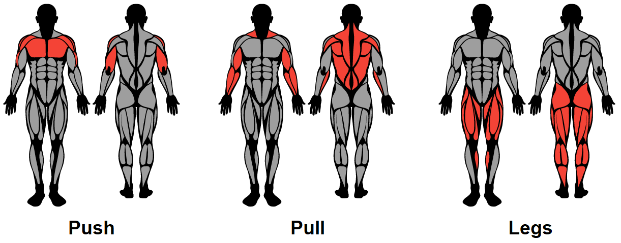 The 10 Best Bodybuilding Splits A Complete Guide Strengthlog