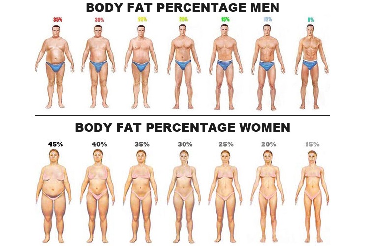 Sa Deffar Du Brann Fett Och Behall Eller Bygg Muskler Styrkelabbet