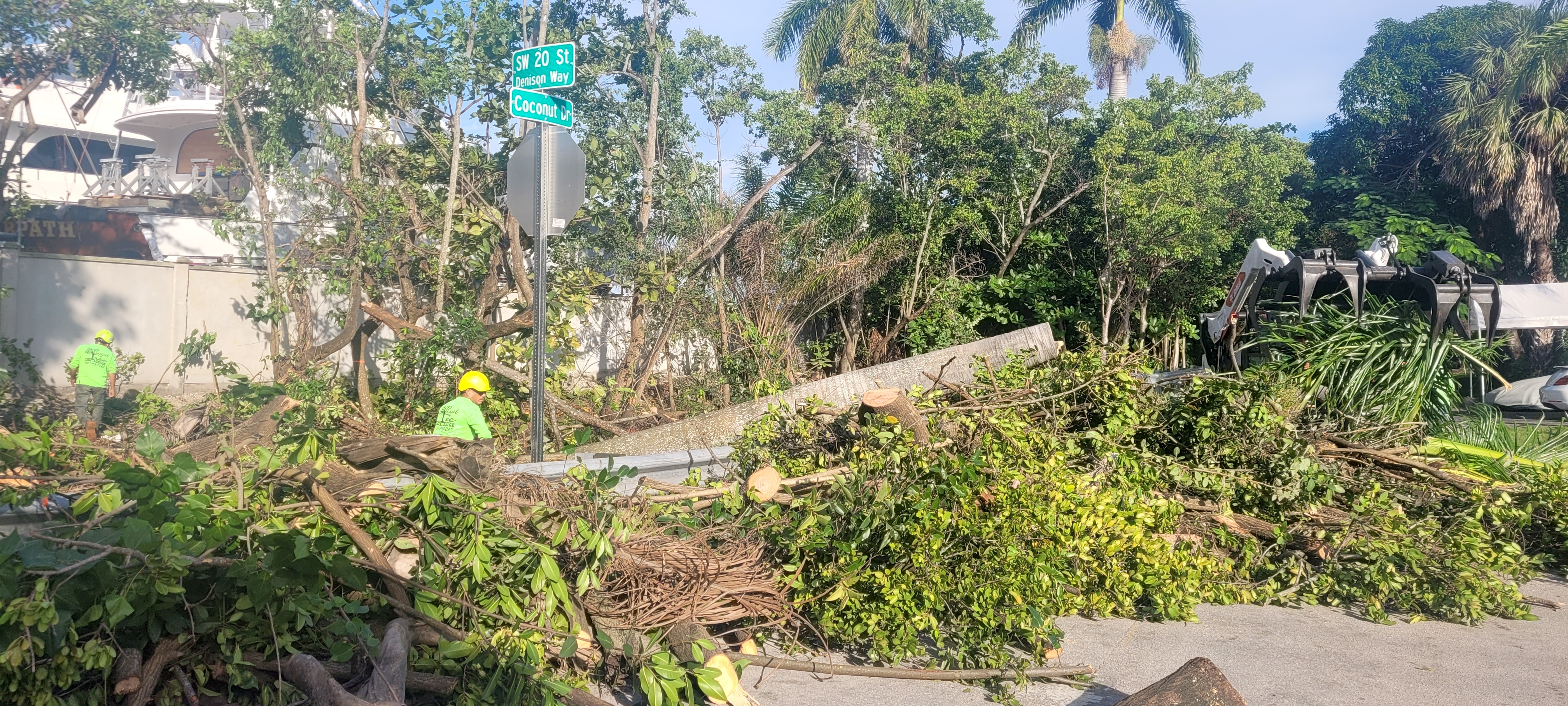 Crews cut down mangroves along Coconut Drive in Fort Lauderdale in December 2022 to make way for drainage upgrades. The photo was taken by Robin Richard, whose home overlooks the canal. (Robin Richard/Courtesy)