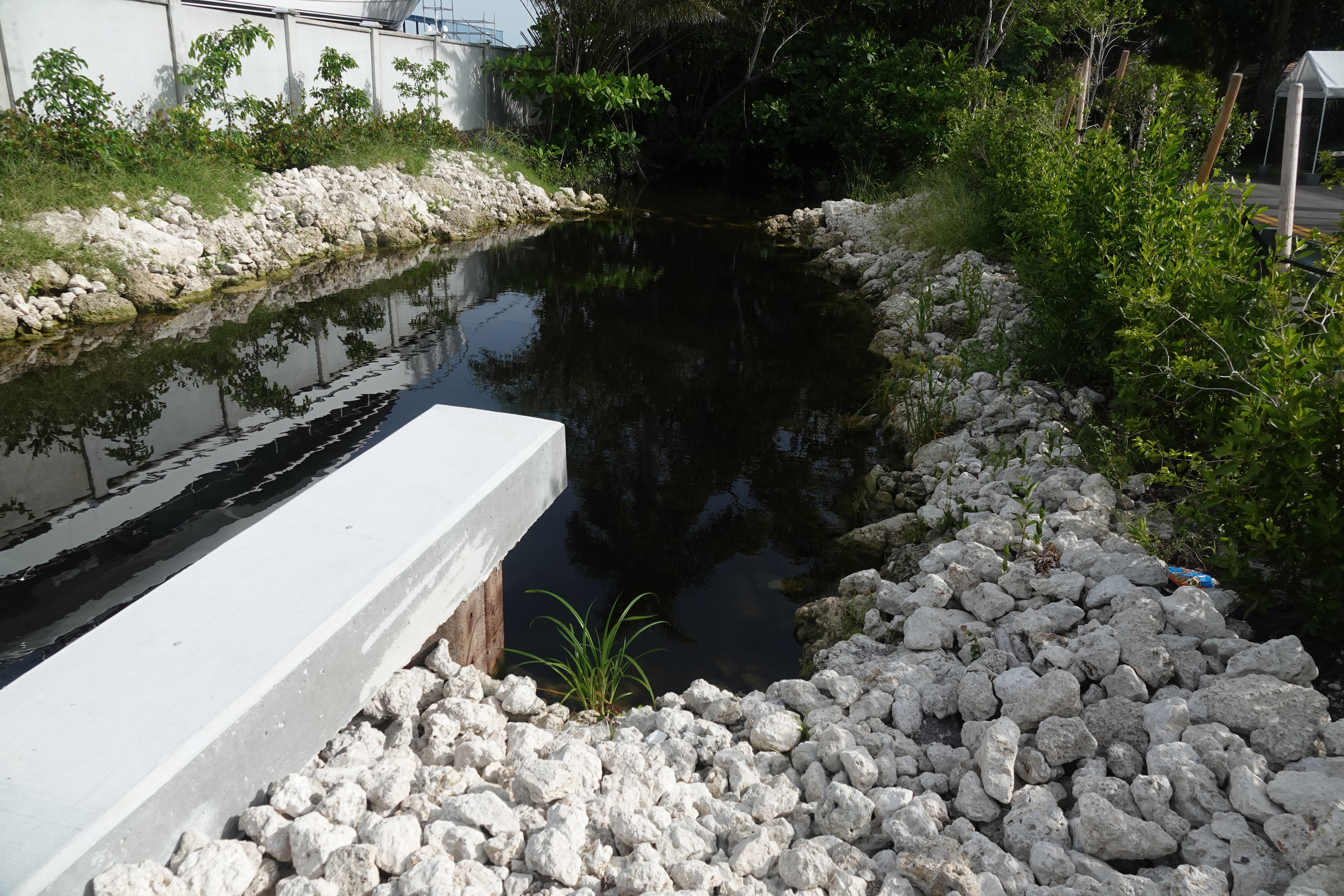 Fort Lauderdale and a drainage contractor have agreed to pay more than $175,000 to settle a county fine for unauthorized activities that included dumping gravel into this canal in River Oaks. (Joe Cavaretta/South Florida Sun Sentinel)
