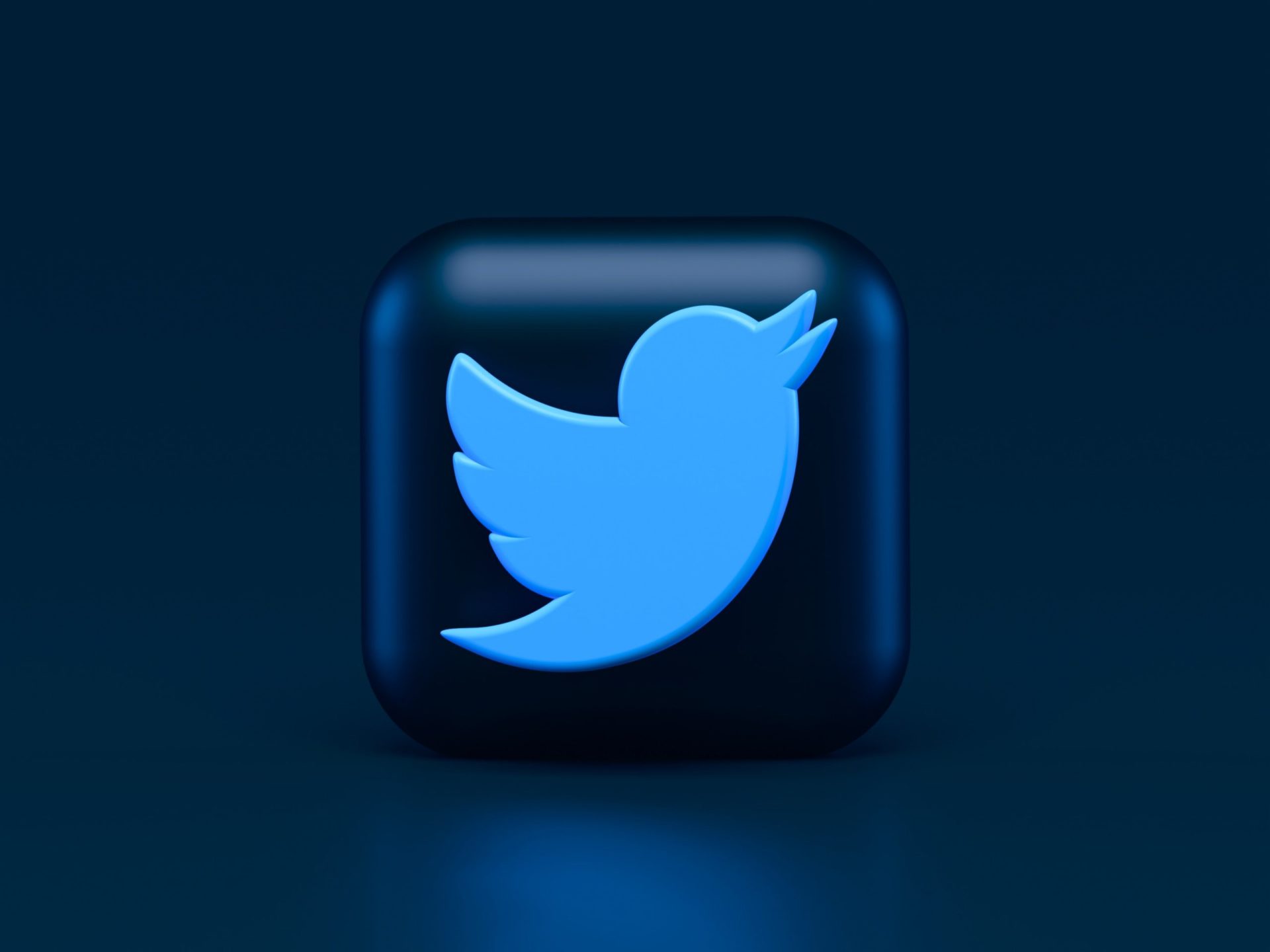How to Get Blue Tick for Your Twitter Account