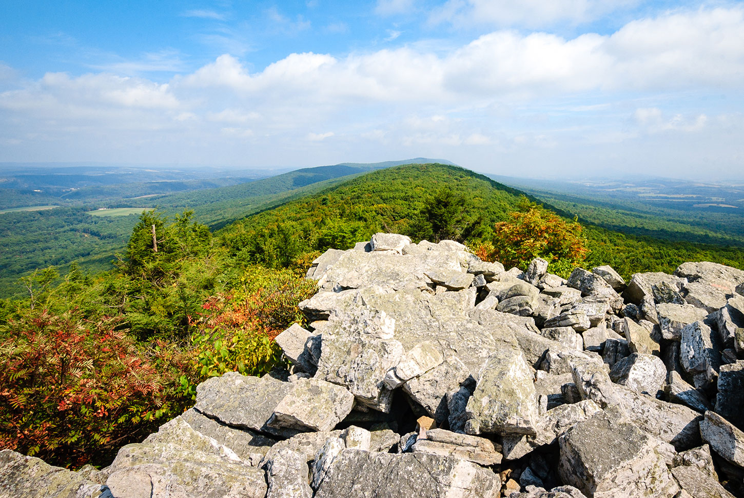 Pennsylvania Archives Terrain Org