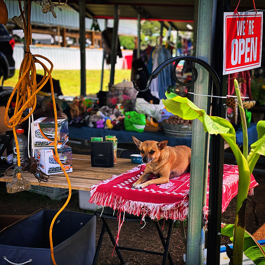 Harrington’s, an open-air flea market between Lillington and Sanford | U.S. 421 and the Future of Carolina Core