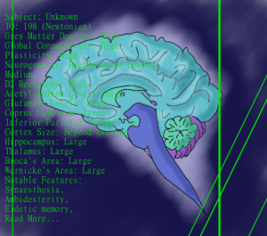 Neuroscience of intelligence