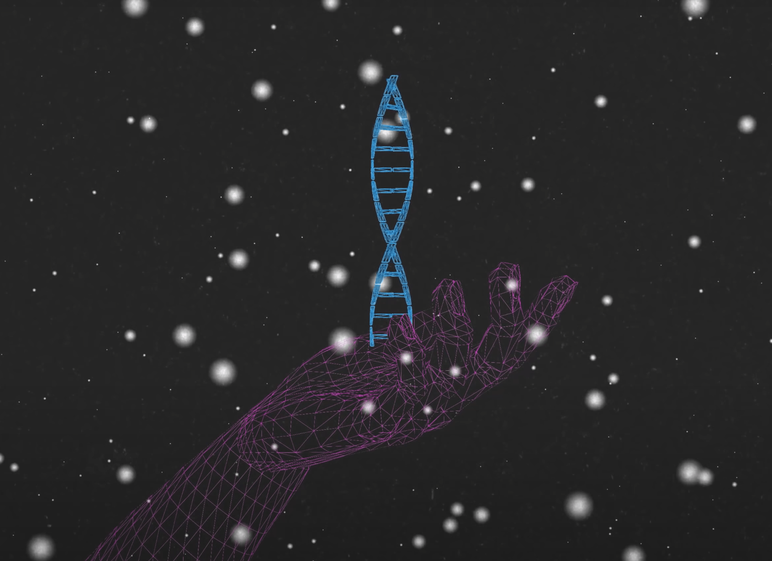 DNA sirtuins NAD+