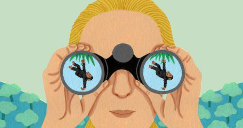 The Watcher: A Children’s Book about How Jane Goodall Became Jane Goodall