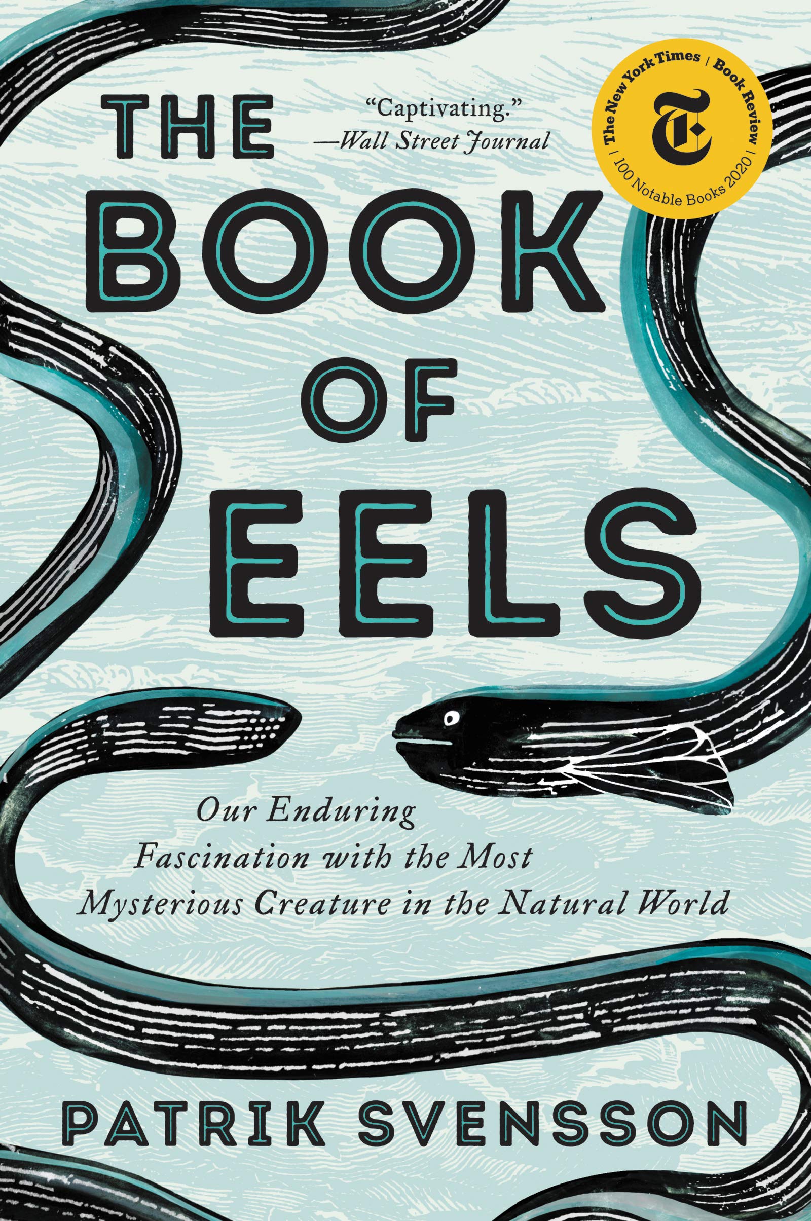 The Enigma Of The Eel The Elusive Science Of Earth S Most Mysterious Creature The Marginalian