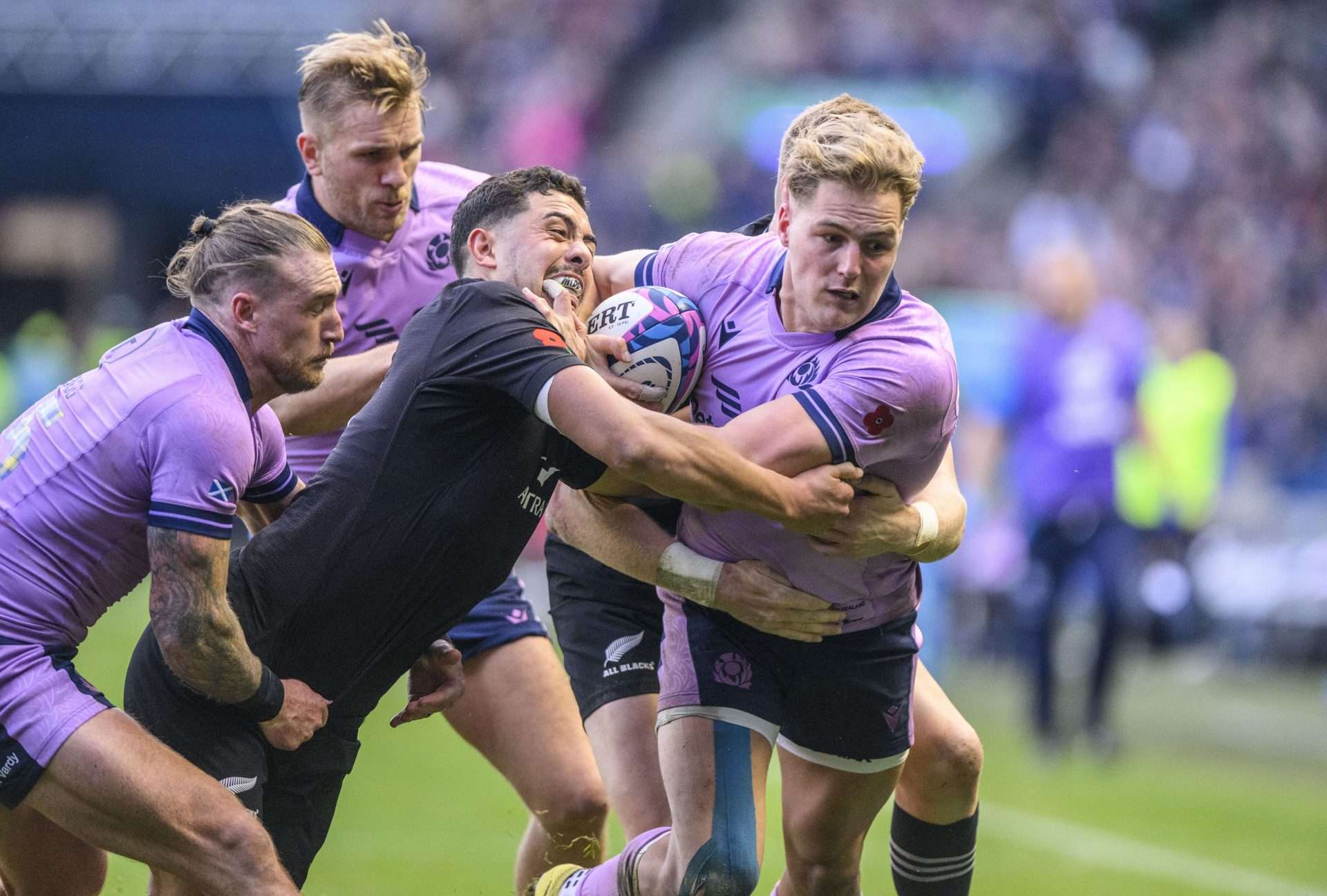 Scotland V New Zealand Scotland Player Ratings