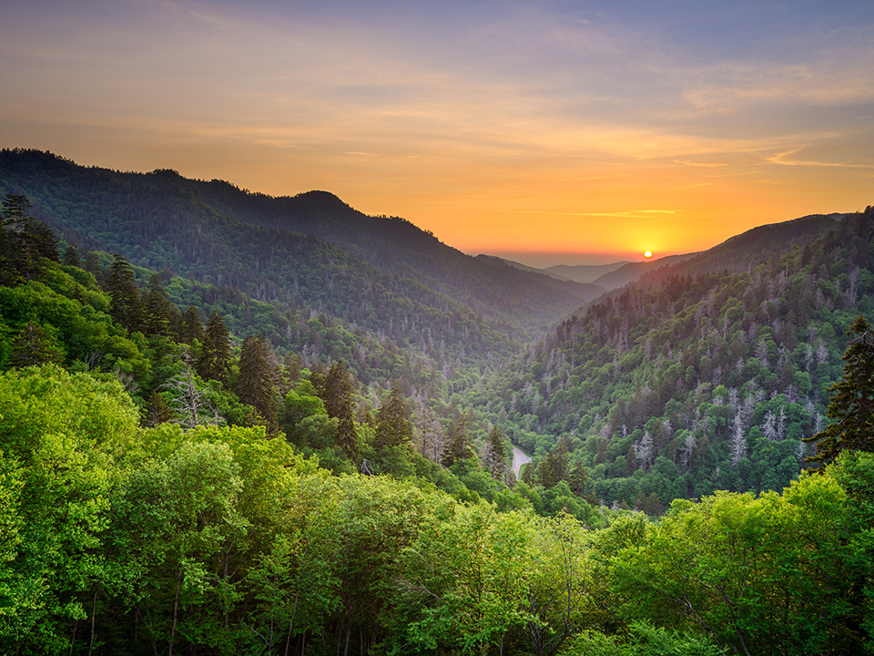 Where Is Newfound Gap A Guide To The Most Scenic Drive In The Smokies