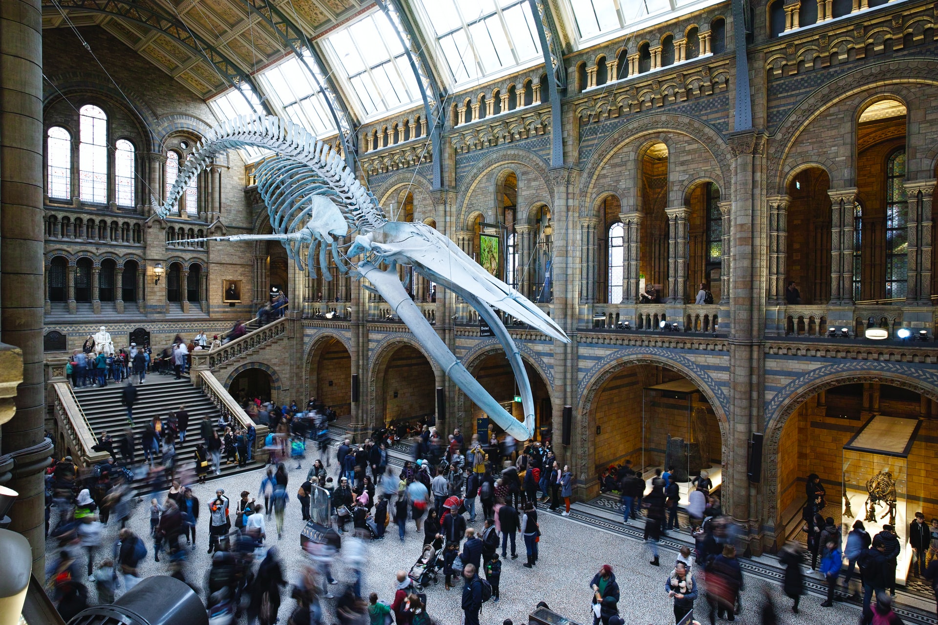 The Best Natural History Museums In The World Tiqets Com