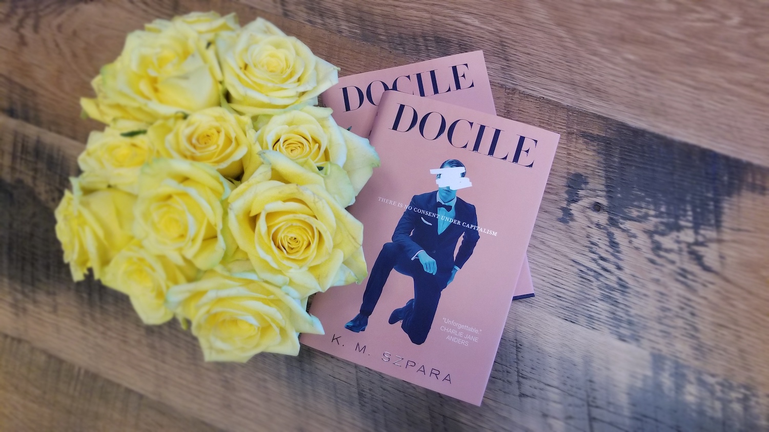 Read The First Six Chapters From K M Szpara S Docile Tor Com