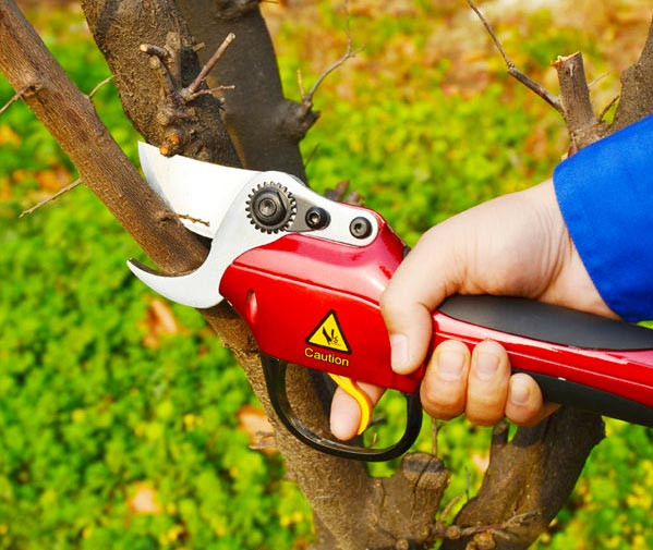 Comparativa De Tijeras De Podar Electricas Cual Es La Mejor