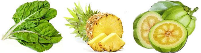 pienso para perros natura diet light