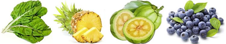 pienso natura diet reduced calories