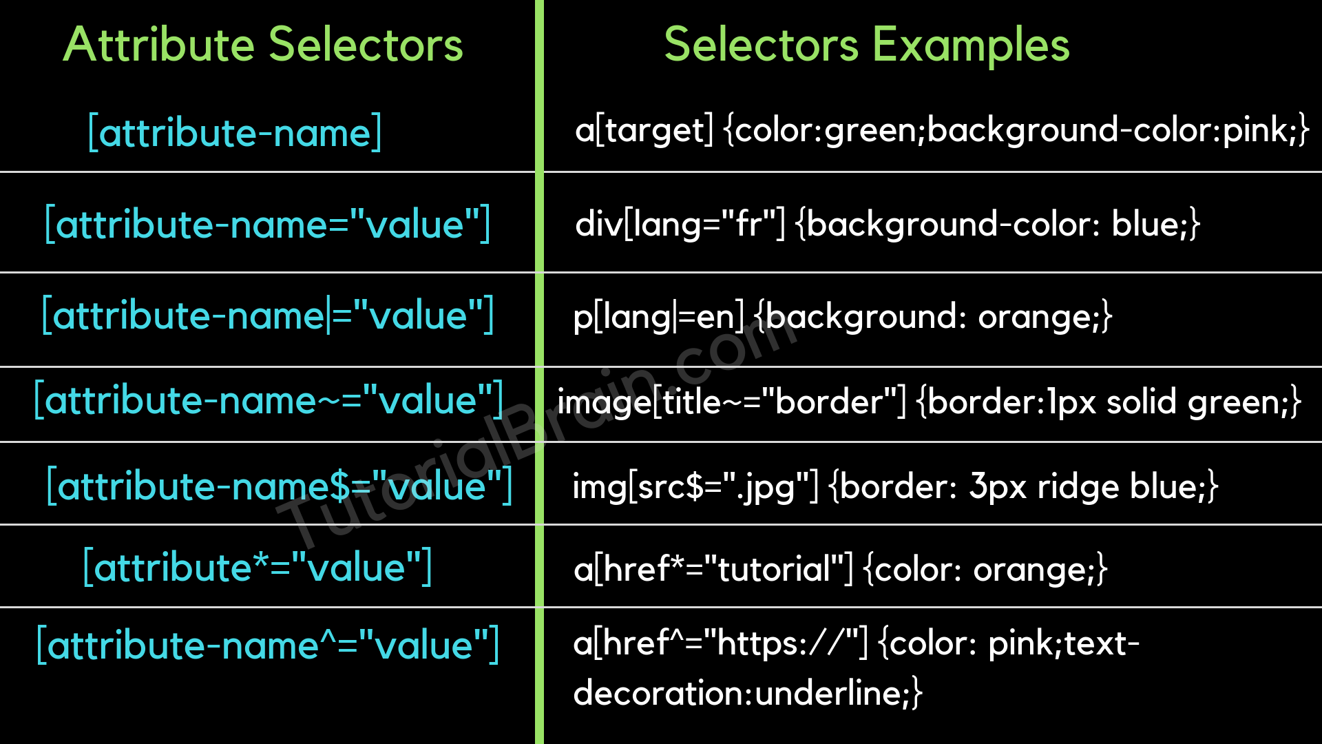 Css Attribute Selector Tutorialbrain