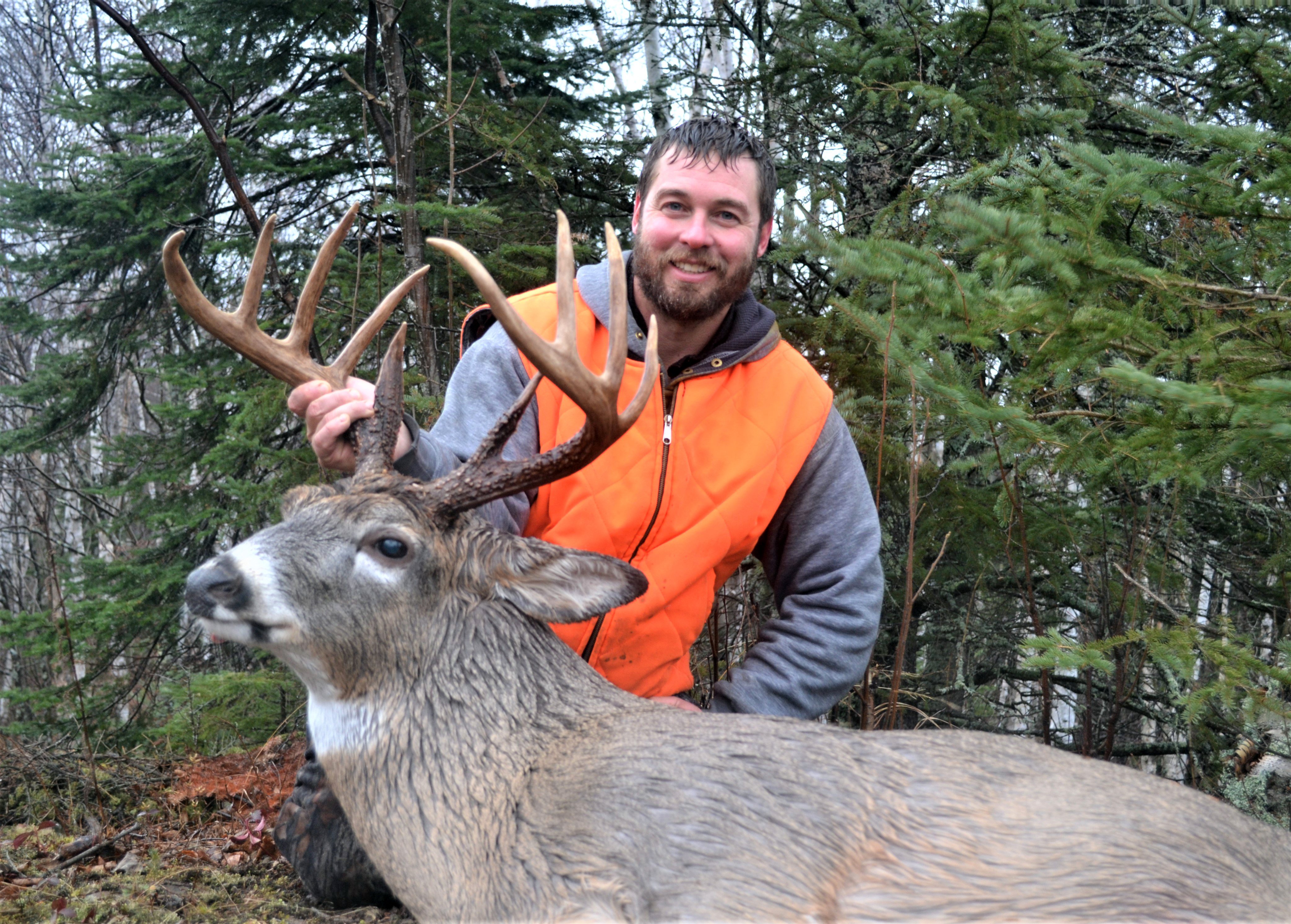 Minnesota Antler Aficionado Pens Deer Hunting Book Twin Cities