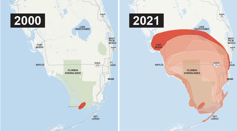 In the past 20 years, Burmese pythons have spread from a few snakes in the southwest Everglades into nearly all of southern Florida.