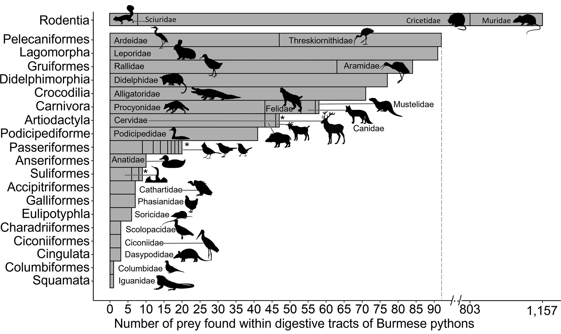 A graph showing prey items found in the digestive tracts of invasive Burmese pythons in Florida. (USGS)