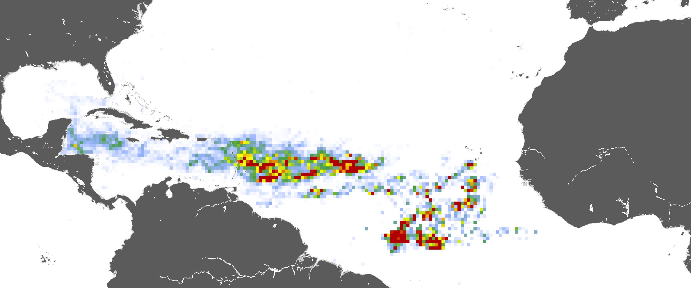 A satellite-based map developed by researchers in February 2023 at the University of South Florida shows the breadth of Great Atlantic Sargassum Belt. The warmer colors indicate the highest sargassum biomass. As the seaweed moves west into the Gulf of Mexico in the coming months, Gulf Stream currents will carry chunks of it north along Florida's east coast. (University of South Florida)