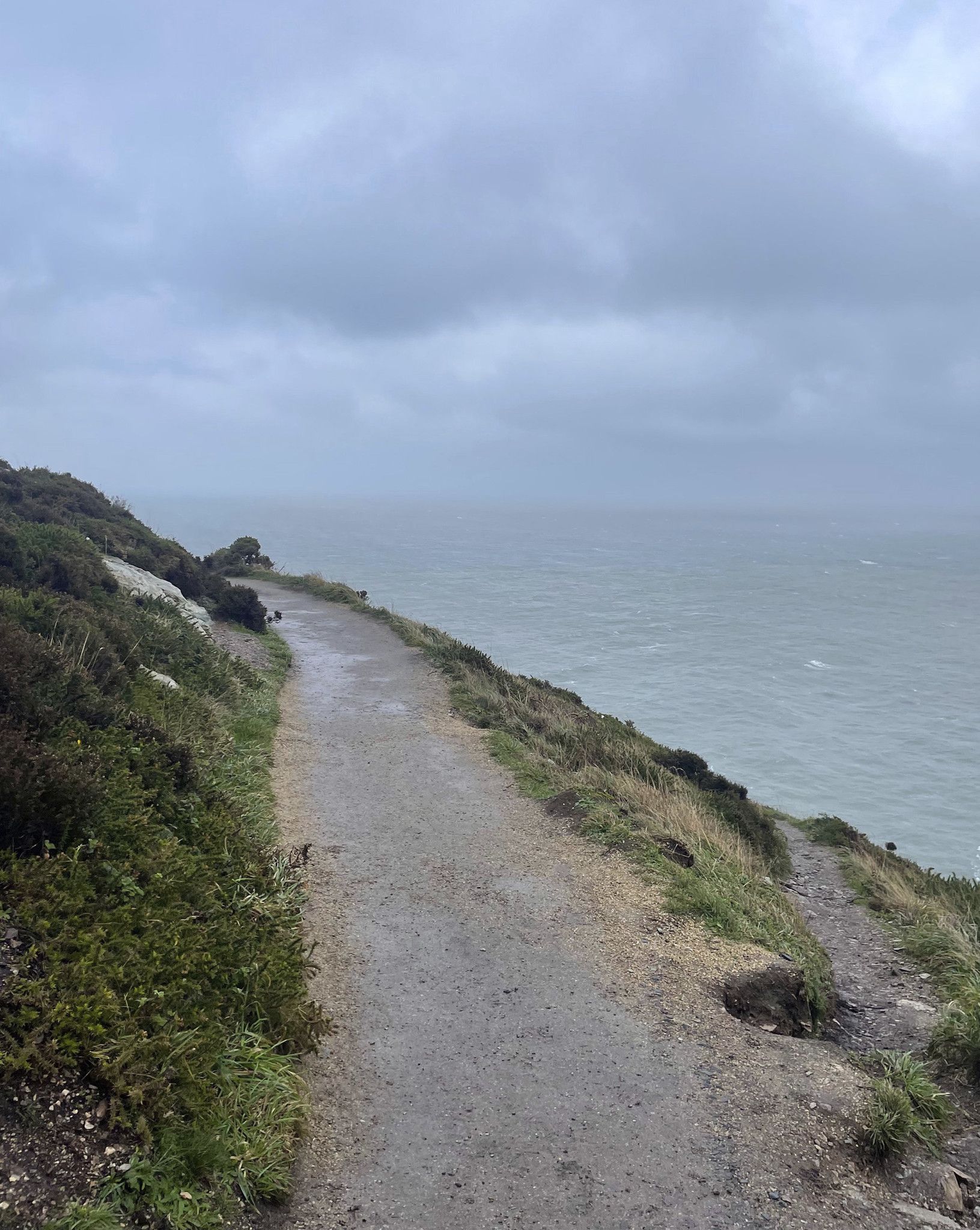 A hike just outside of the Irish village of Howth near Dublin offered a windy, chaotic release, December 18, 2022. (Joseph Hernandez / Chicago Tribune)