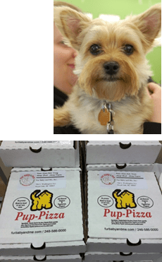 Save 5 With Printable Coupon For Pet Supplies Plus In Crystal Twin Cities Frugal Mom