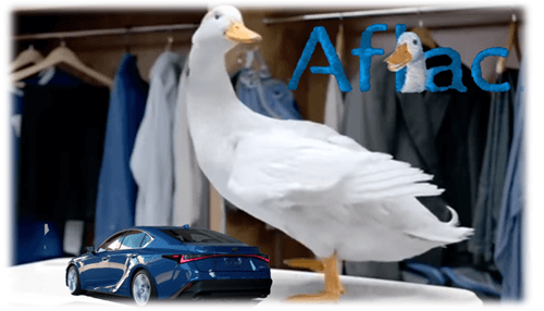 Aflac Car Insurance 2021 Aflac Car Insurance 2021