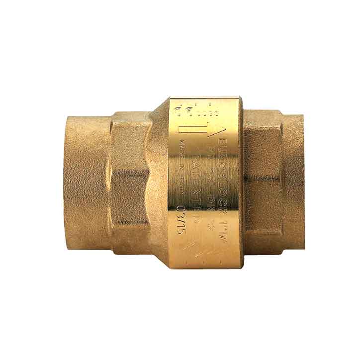 100002 CHECK VALVE