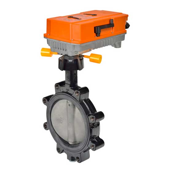 Butterfly Valve