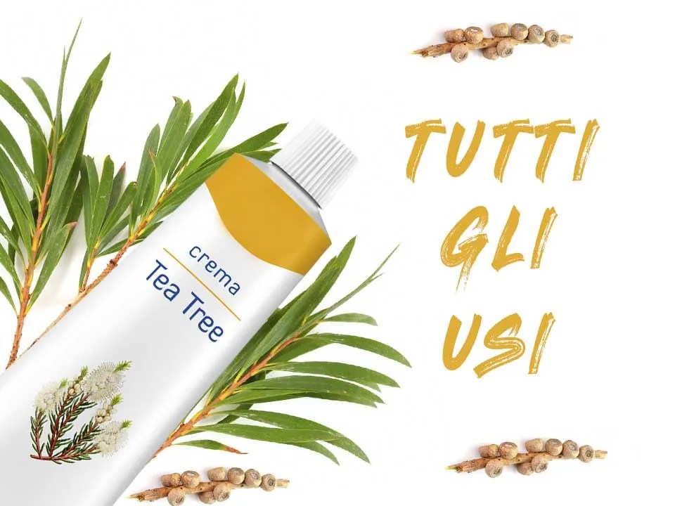 Tutti Gli Usi Della Crema Tea Tree Just Una Vita Che Vale