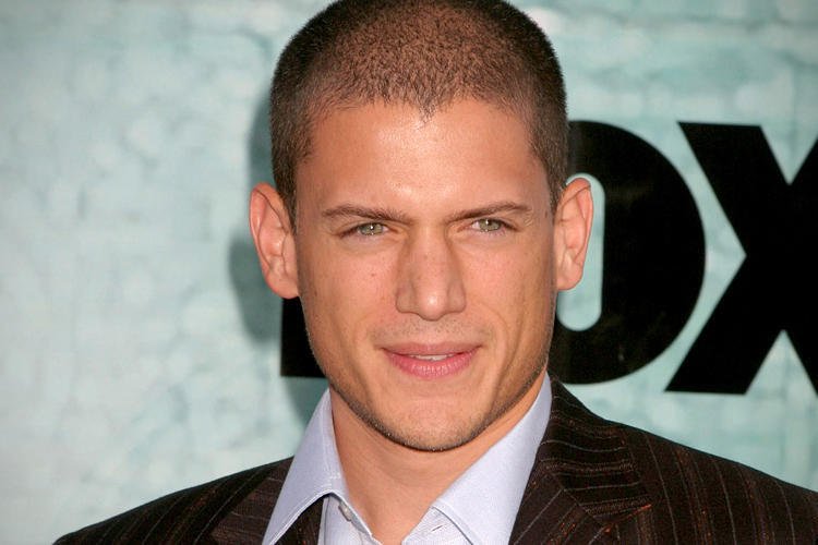 Nevinny Claire Citit Wentworth Miller Joy Marie Palm Miller Empiricky Kostel Fialovy