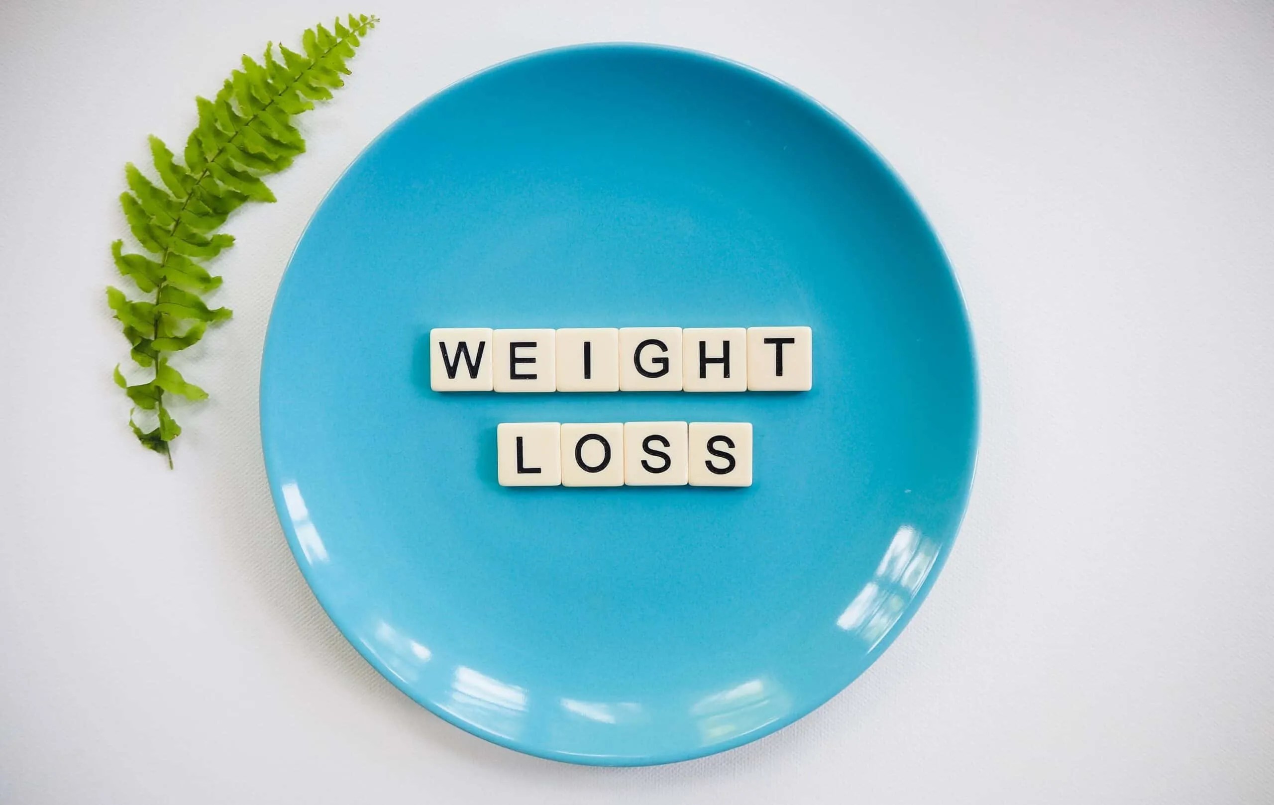 Accelerate Fat Loss With A High Protein Diet Xcel Fitness