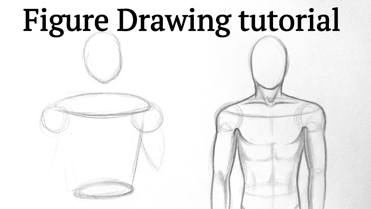 How To Draw Human Figure Drawing Male Torso Easy For Beginners Pencil